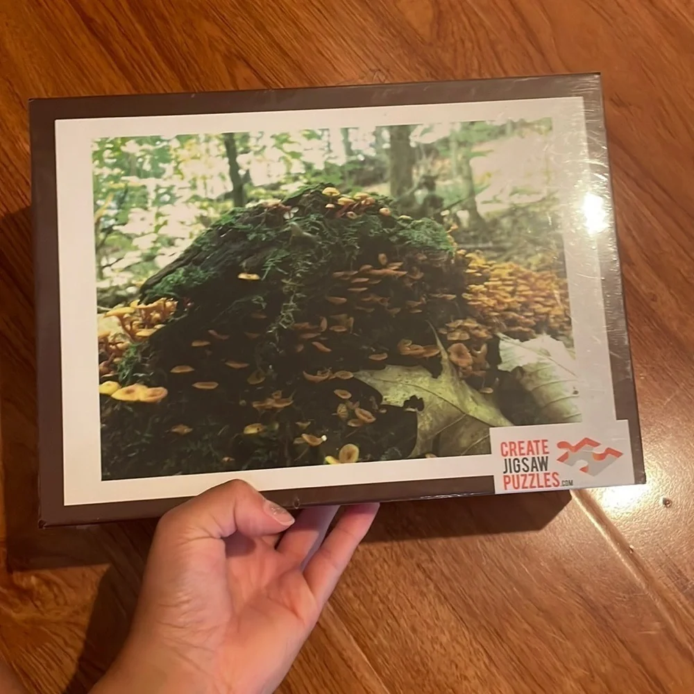 Jigsaw puzzle - Picture 2 of 4